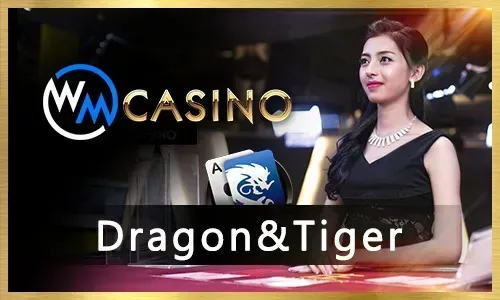 Immersive Live Dealer Games